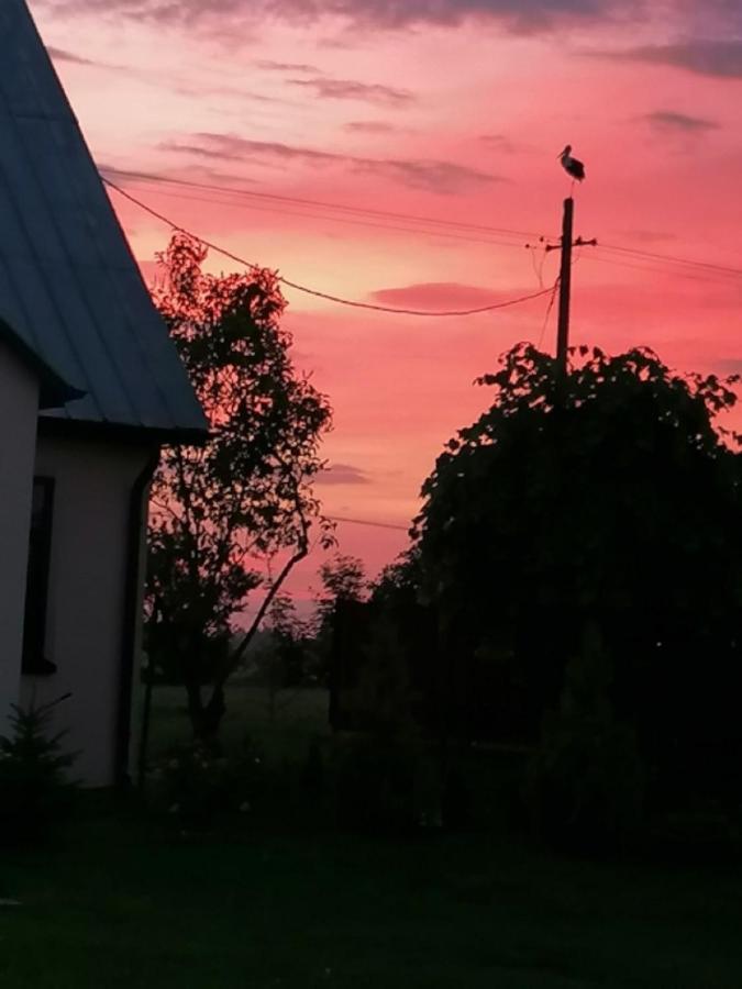 Dom I Pokoje Goscinne Zaruby Сейны Экстерьер фото